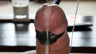 Estim jelly Compilation